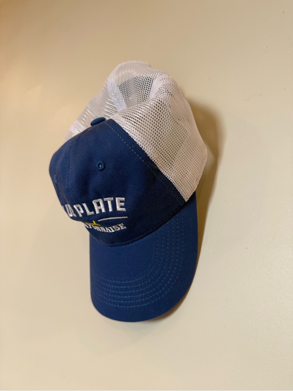 Blue Plate Blue and White Mesh Baseball Cap